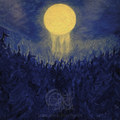 In darkness of dense forests