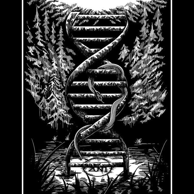 Chaos Is a Ladder