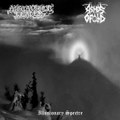 Illusionary Spectre (Split)  Apocalyptic Leaders / Ashes of Old