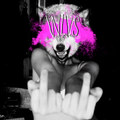 This Is Wolves