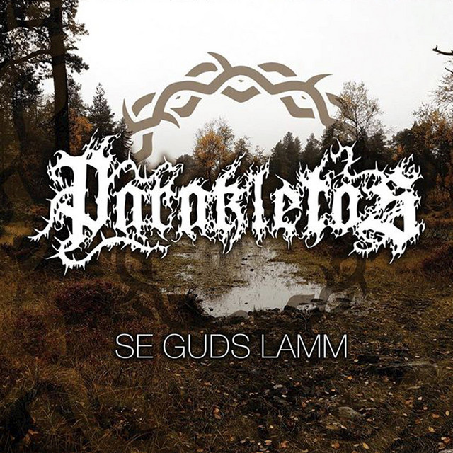 Se Guds Lamm