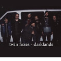 Twin Foxes Split EP
