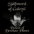 Voices of Desolate Planes