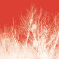 Fallen Faces / Dead Air (Dead Edit) (MM013x)