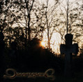 Deadborn Dreams