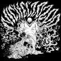 10" split with ZOZOO