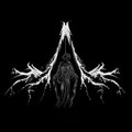 SW/\MP - Demo