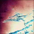 Ode to the Dreamless