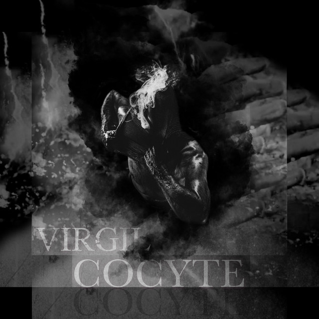 Cocyte