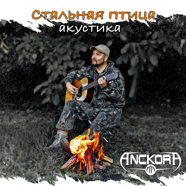 Стальная птица (Акустика)