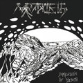 Dimension of Death