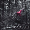 Marc Maniac - Stuck In The Woods EP