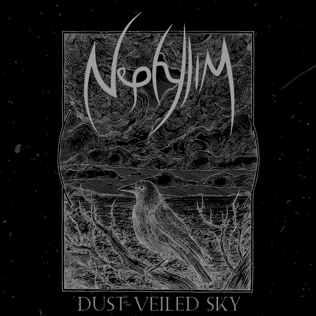Dust Veiled Sky (2021)