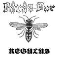 Regulus