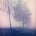 herbst (interim X)