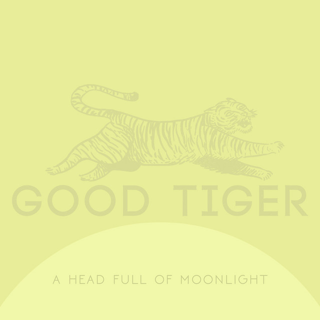 A Head Full of Moonlight