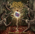 Inhuman Theory Of Chaos
