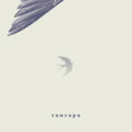 Ласточка / Swallow
