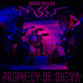 Severe Cold Gig (live 2020)