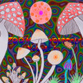 ZOOM YOURSELF voOol. 6