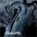 Between the Trees (Demo 2007)