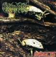 Insects