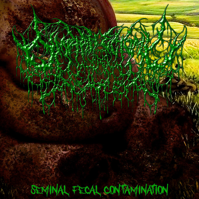 Seminal Fecal Contamination
