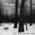 Let's go to the winter forest