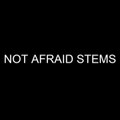 No Remorse - Not Afraid (STEMS)