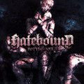 Rotting Souls