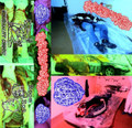 Degloved / Bile Pile Split
