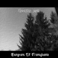 Dungeons Of Transylvania
