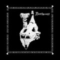 Beerhammer/Nücleahölic Split