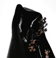 BLACK EARTH