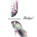Bathyal 4