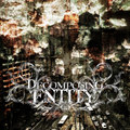 Decomposing Entity - Promo 2012.