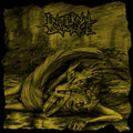 Split with Skruta