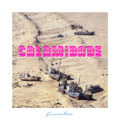 Calamidade