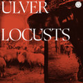 Locusts