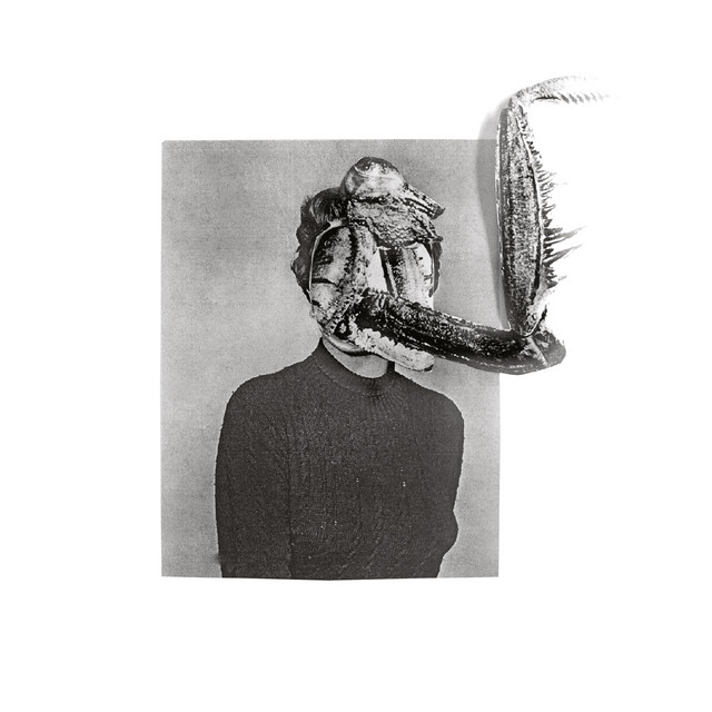 Mantiis