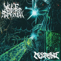 VILE APPARITION/MISCREANCE