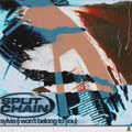 sylvia (i won't belong to you)