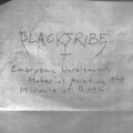 Embryonic Unreleased Material Awaiting the Miracle of Birth