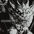 Descending Void