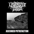 Ascended Putrefaction