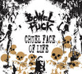 DIY split cd w/Cruel Face Of Live
