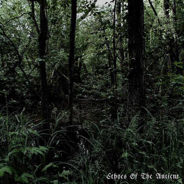 Echoes Of The Ancient