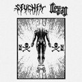 SEUCHEN / LOUGOR SPLIT