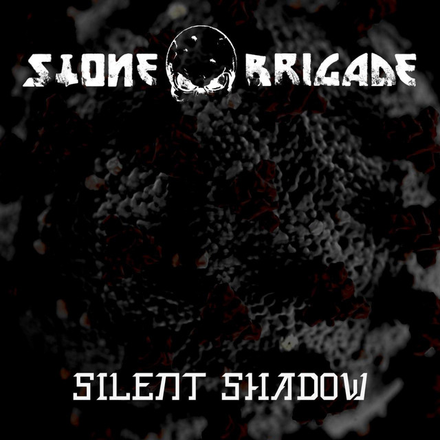 Silent shadow