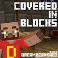 Covered In Blocks